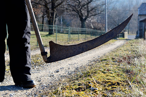 istock death in the countryside 173869929