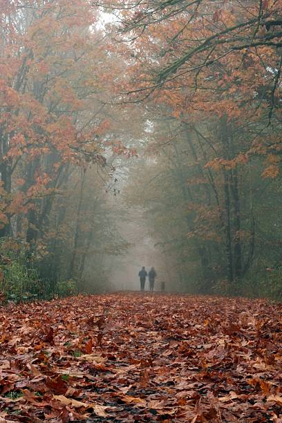 automne les coureurs avec chien - distance running jogging running fog photos et images de collection