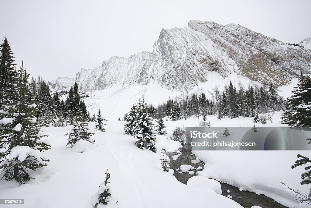 Trilha de esqui Cross-Country - Royalty-free Canadá Foto de stock