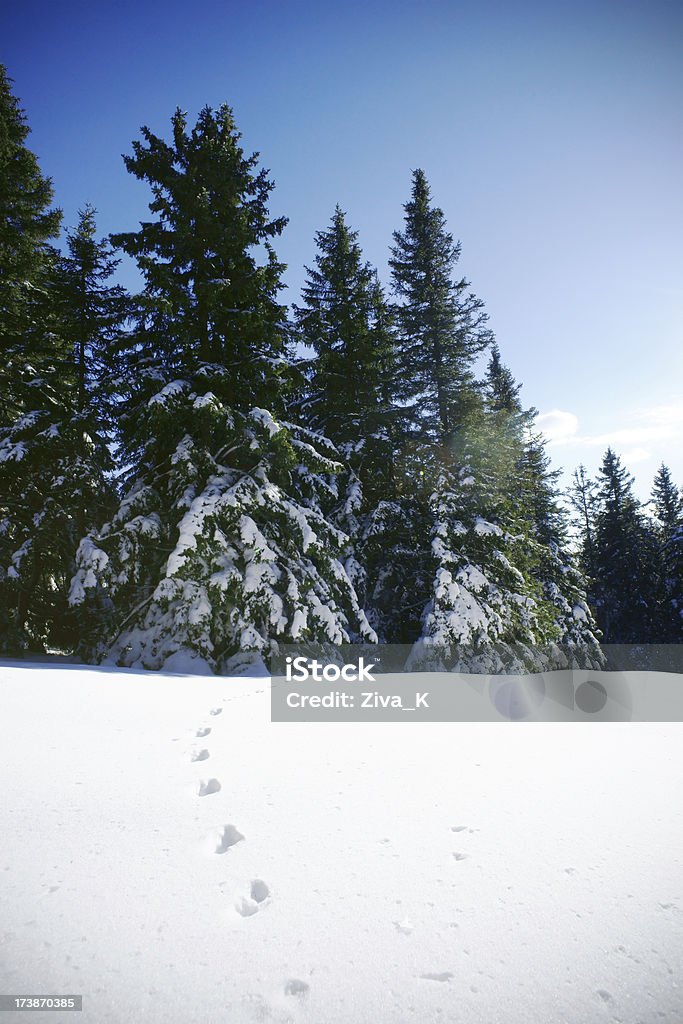 Paisagem de inverno - Foto de stock de Azul royalty-free