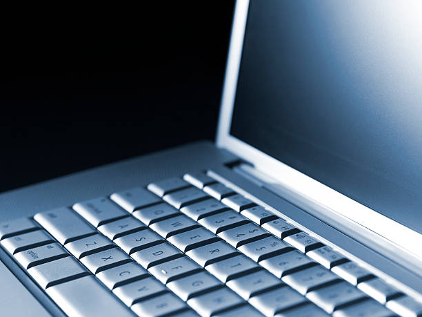 istock Business on a laptop 173870754