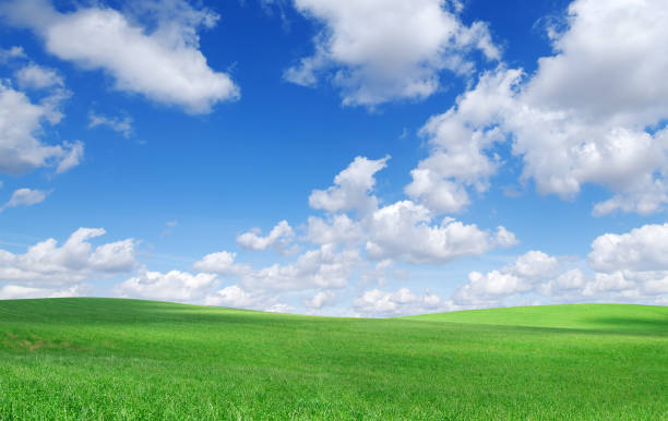 istock Green field and white clouds in the blue sky 173870778