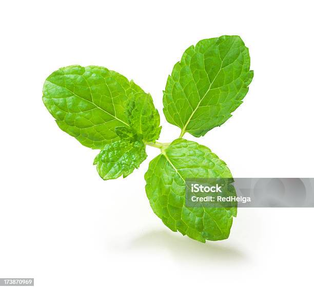 Mint Leafs Foto de stock y más banco de imágenes de Alimento - Alimento, Arreglo, Color - Tipo de imagen