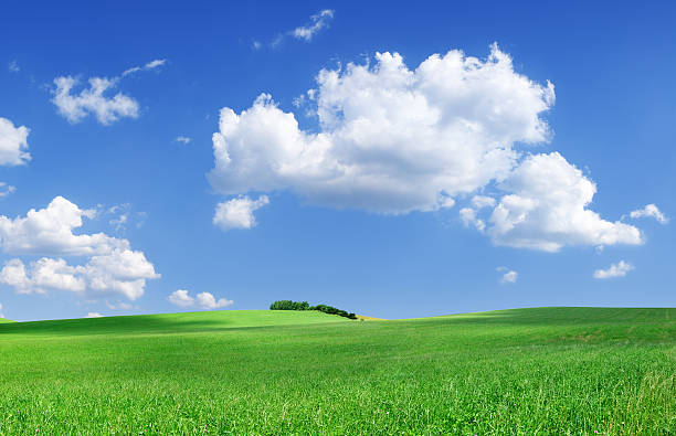 istock Green field and white clouds in the blue sky 173871567