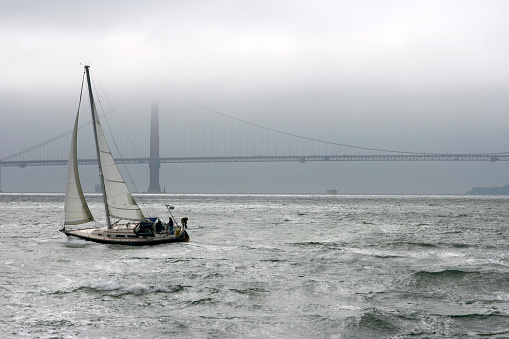Sloop 36 foot sailing in San Fransisco Bay with Golden Gate bridge in distance on a foggy typical day for the area