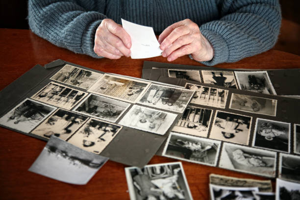 unvergessliche erinnerungen - family tree family photograph photography stock-fotos und bilder