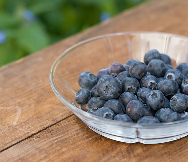 Bowl of blueberries stock photo