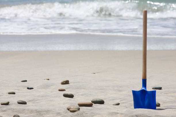 Beach Digging stock photo