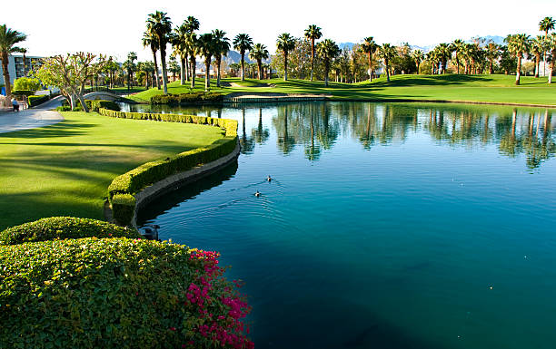 magníficos campos de golf, las palmeras al atardecer 1 - palm desert fotografías e imágenes de stock