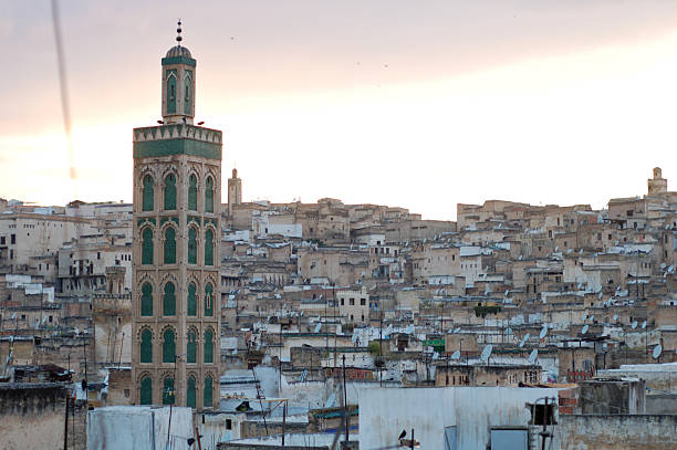 istock Medina of Fez 173874364