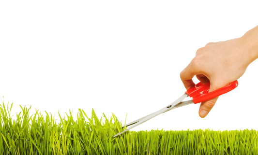 Isolated grass and hand with scissors