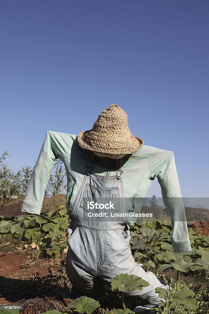 Scarecrow Scarecrow in the garden Scarecrow - Agricultural Equipment Stock Photo