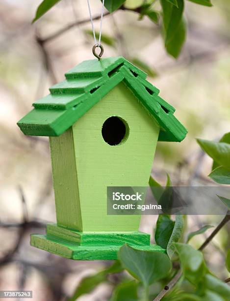 Foto de Casa De Pássaro e mais fotos de stock de Amor - Amor, Animal, Caixa - Recipiente