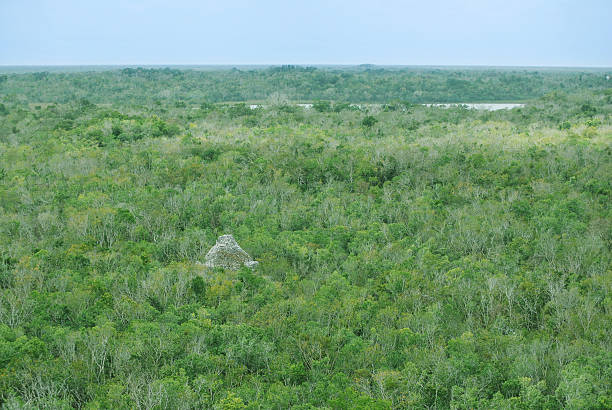 istock Aerial view of Coba 173876155