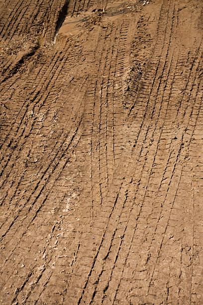 istock Truck tire tracks in the mud 173876745