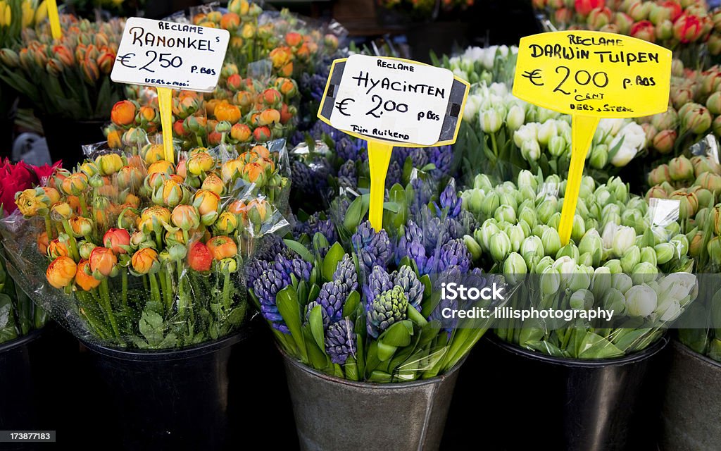Blumenmarkt in Amsterdam - Lizenzfrei Blume Stock-Foto