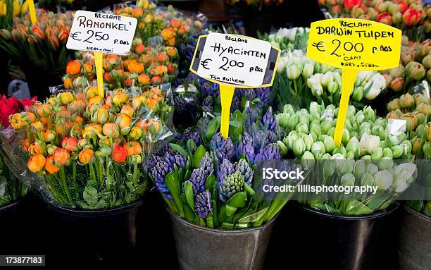 Blumenmarkt In Amsterdam Stockfoto und mehr Bilder von Blume - Blume, EU-Währung, Markt - Verkaufsstätte