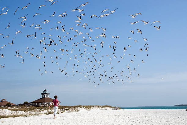 istock Beautiful Day at the Beach 173877512