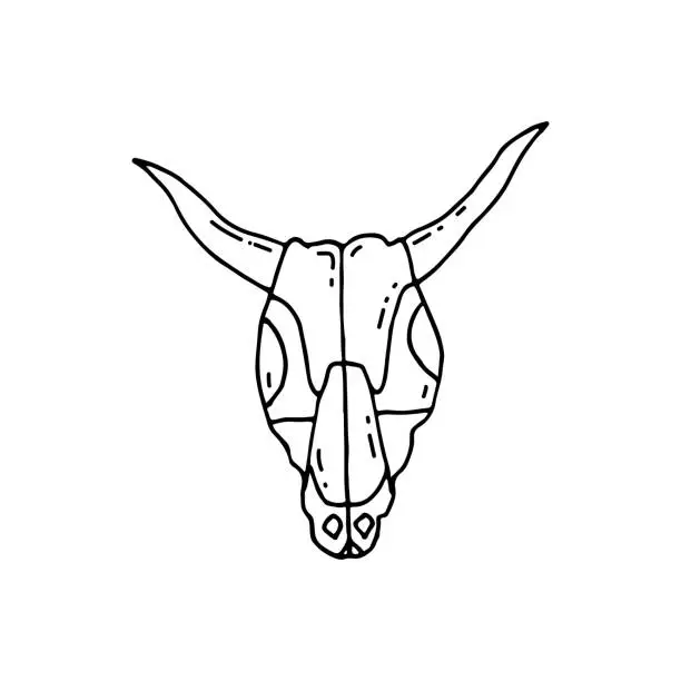 Vector illustration of Cow skull. Skeleton of an animal's head. Wild West. Doodle. Vector illustration. Hand drawn. Outline.