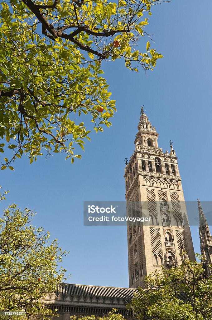 Naranja árboles La Giralda Sevilla, España - Foto de stock de Arbusto libre de derechos