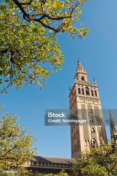 Naranja Árboles La Giralda Sevilla España Foto de stock y más banco de imágenes de Arbusto - Arbusto, Azul, Campanario - Torre