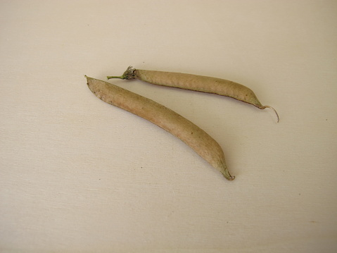 Ripe sweet pea pods on a wooden board, Lathyrus odoratus - Reife Samenschoten von der Gartenwicke auf einem Holzbrett