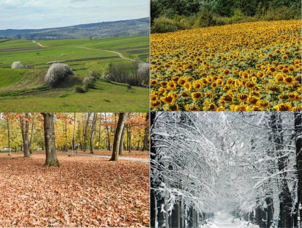 istock The four seasons in one image. Collage with spring, summer, autumn, winter. Wallpaper with spring, summer, autumn, winter 1738776596