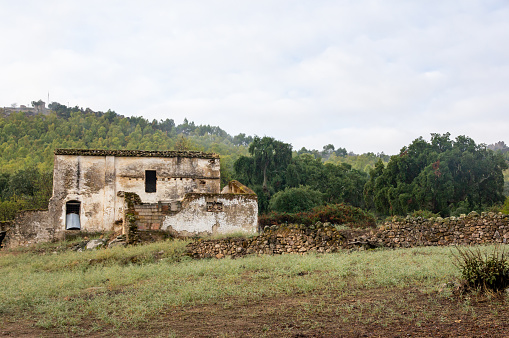 Ruins Amidst Nature: Abandoned Farmhouse.