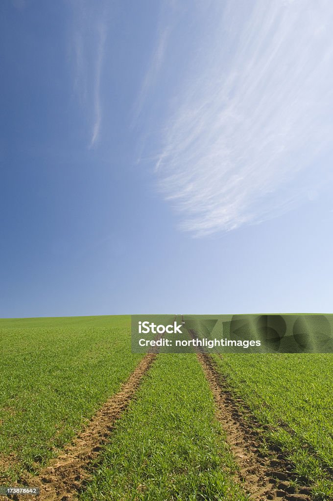 Farm pista en campo - Foto de stock de Agricultura libre de derechos