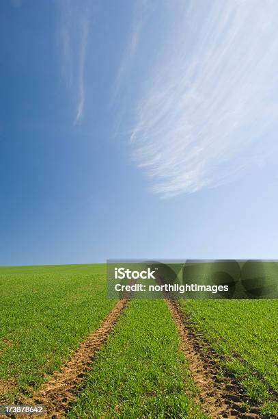 Farm Pista En Campo Foto de stock y más banco de imágenes de Agricultura - Agricultura, Aire libre, Azul