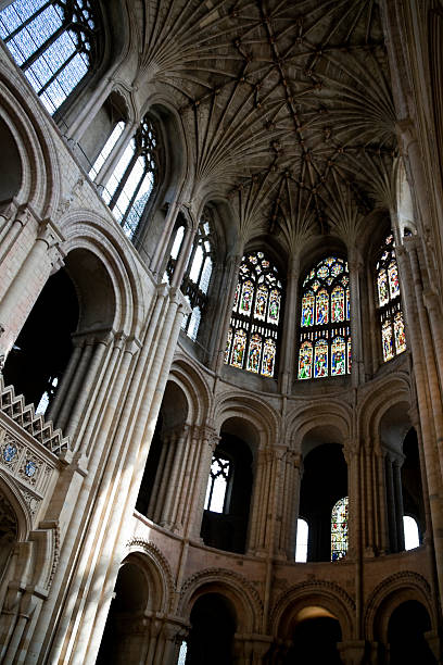 saltar el potro y arcos en la catedral de norwich - iluminación de techo abovedado fotografías e imágenes de stock