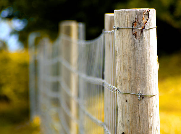 Fence Post in the Afternoon Light stock photo