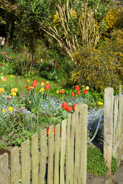 istock English Garden 173878998