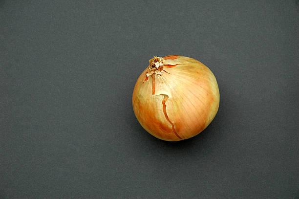 Onion stock photo