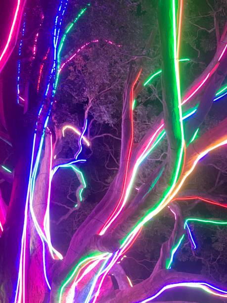 istock Light festival Australia 1738794341