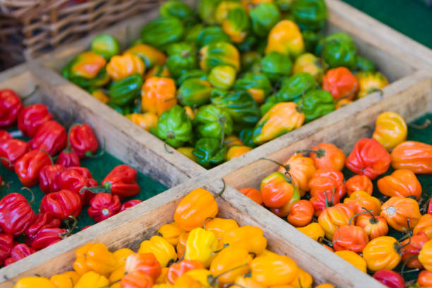 Market Peppers stock photo