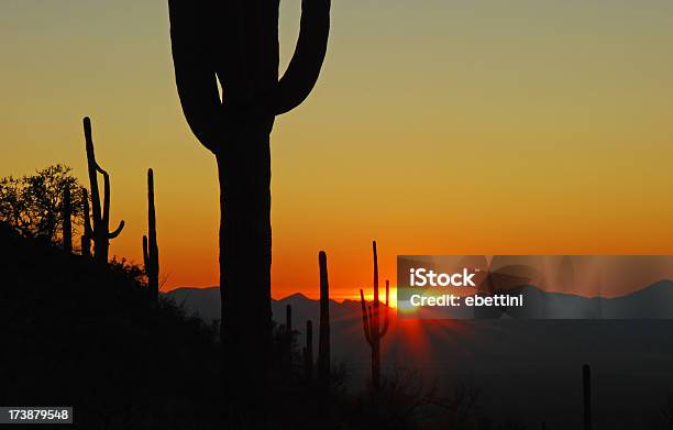 サワロサボテンの夕日 - アメリカ南西部のストックフォトや画像を多数ご用意 - アメリカ南西部, アリゾナ州, オレンジ色