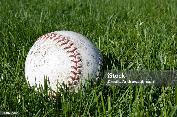 Béisbol En Hierba Foto de stock y más banco de imágenes de Aire libre - Aire libre, Béisbol, Costura visible