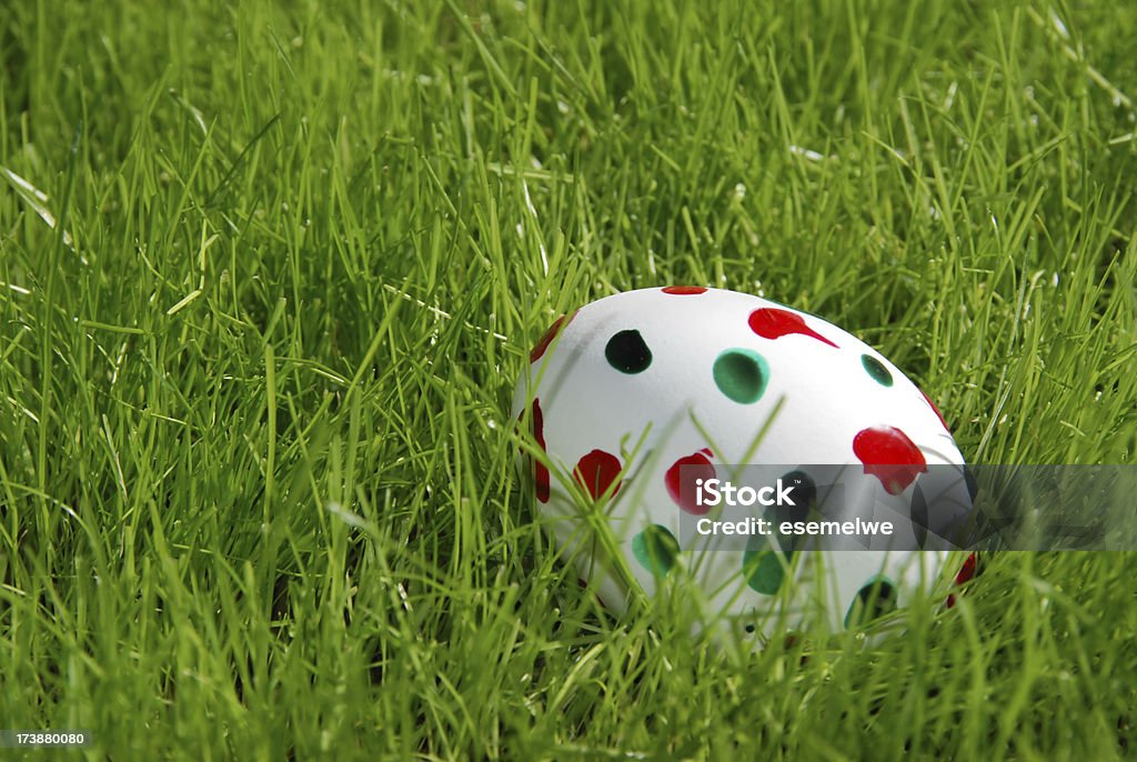 uovo di Pasqua - Foto stock royalty-free di Ambientazione esterna
