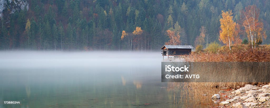 Morgen Nebel - Lizenzfrei Naturwald Stock-Foto
