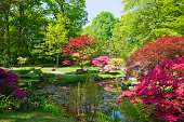 Japanese garden # 5 XXXL