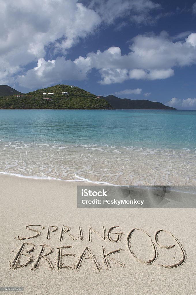 Spring Break 9 Beach - Foto de stock de 2009 royalty-free