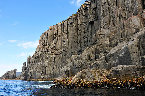 Cliff Cliff at Tasman peninsula, Tasmania, Australia epithelium photos stock pictures, royalty-free photos & images
