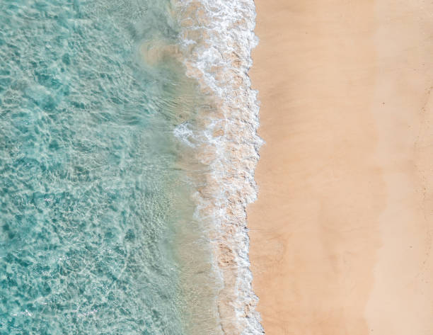 istock Aerial split view of the ocean and a beach 1738810156
