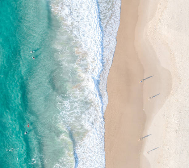 istock Aerial split view of the ocean and a beach 1738810158