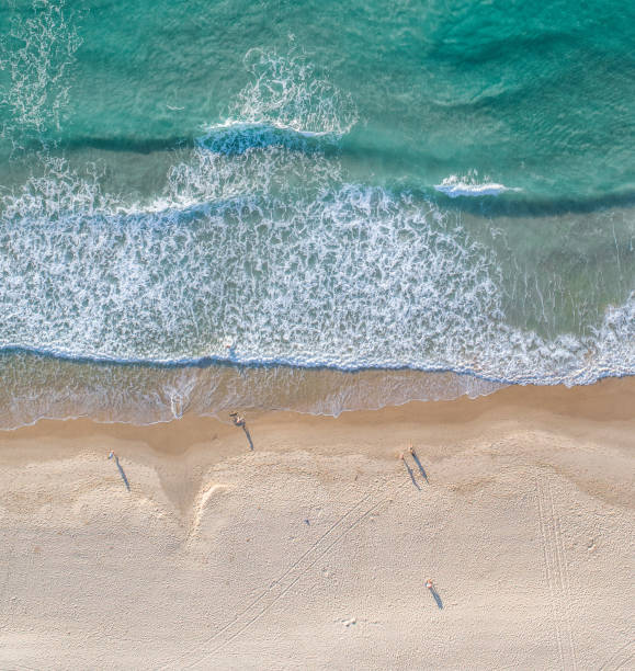 istock Aerial split view of the ocean and a beach 1738810677