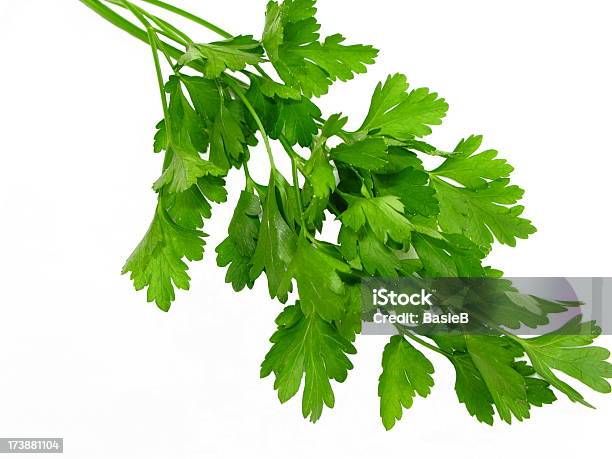 Italian Parsley Stock Photo - Download Image Now - Close-up, Copy Space, Cut Out