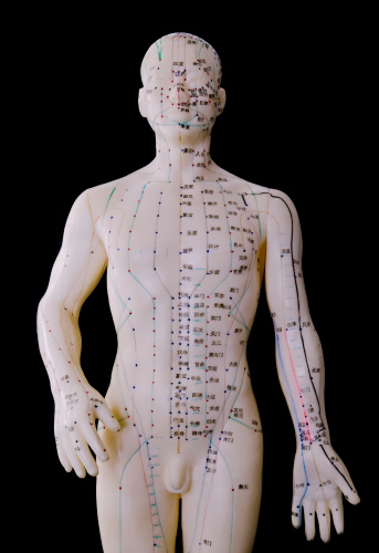 An acupuncture model of the male human body depicting the acupoints and meridiens used in Traditional Chinese Medicine and massage therapy