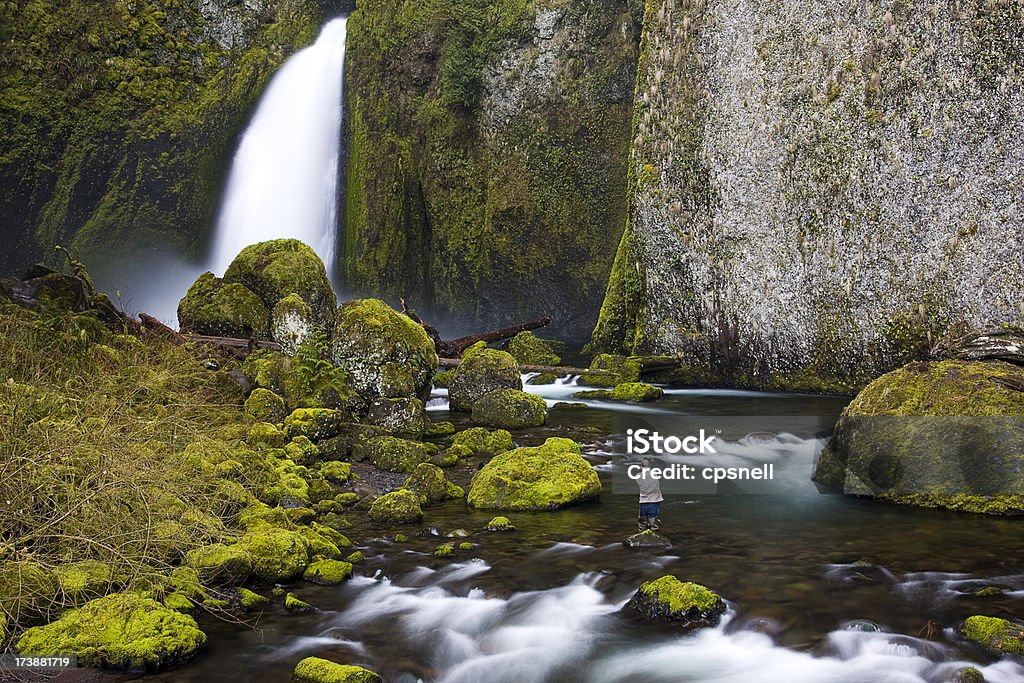 Fotógrafo en Wahclella Falls - Foto de stock de Adulto libre de derechos