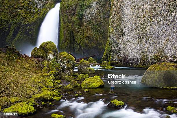 Fotógrafo En Wahclella Falls Foto de stock y más banco de imágenes de Adulto - Adulto, Adulto joven, Agua